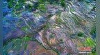 （乡村行·看振兴）福建尤溪：“文特派”激活千年梯田农耕魅力